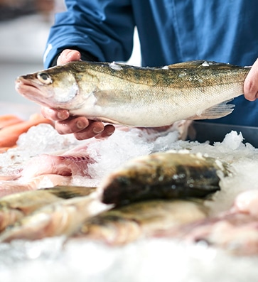 Pescados y mariscos