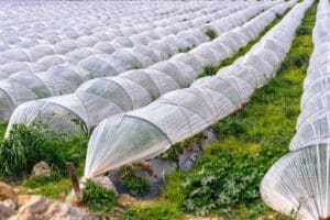 Plástico y agricultura, ¿cómo podemos utilizarlo?