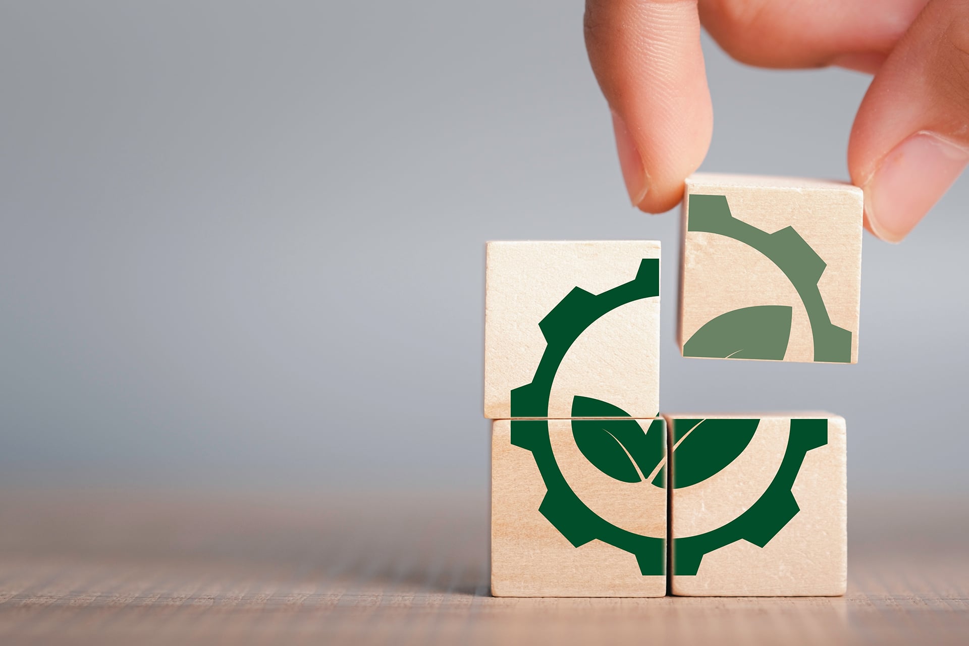 Greenwashing vs sostenibilidad real: ¿cómo diferenciarlo?