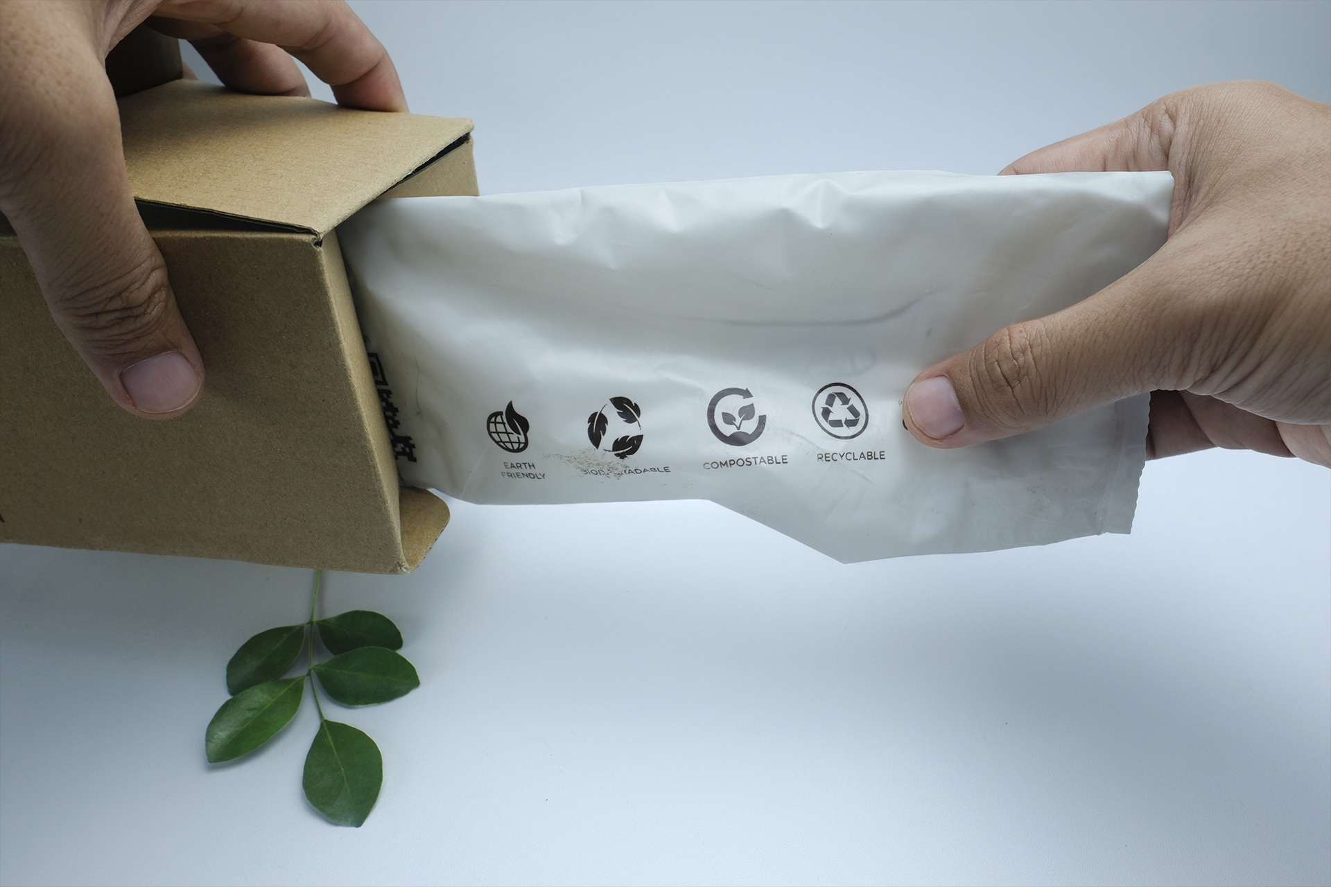 Plásticos compostables: ejemplos en la vida diaria