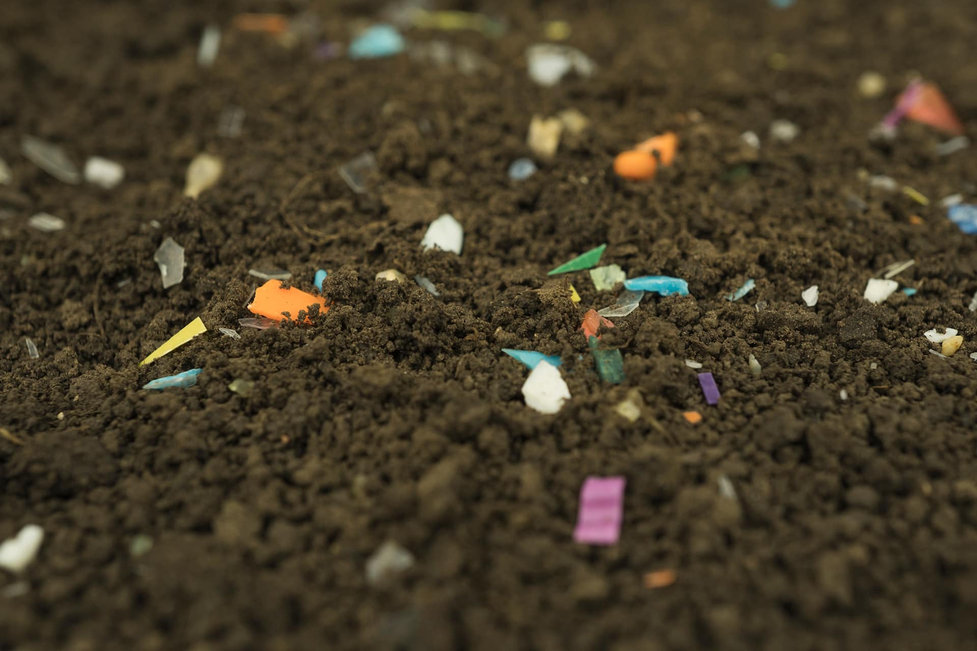 ¿Qué son los microplásticos y cómo afectan al medio ambiente?